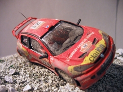 Peugeot 206 - Panizzi